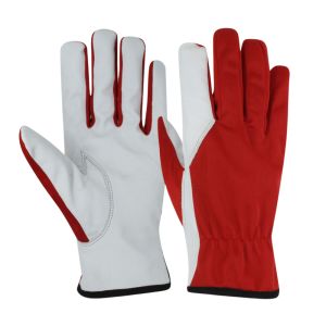 Goat Skin Assembly Gloves